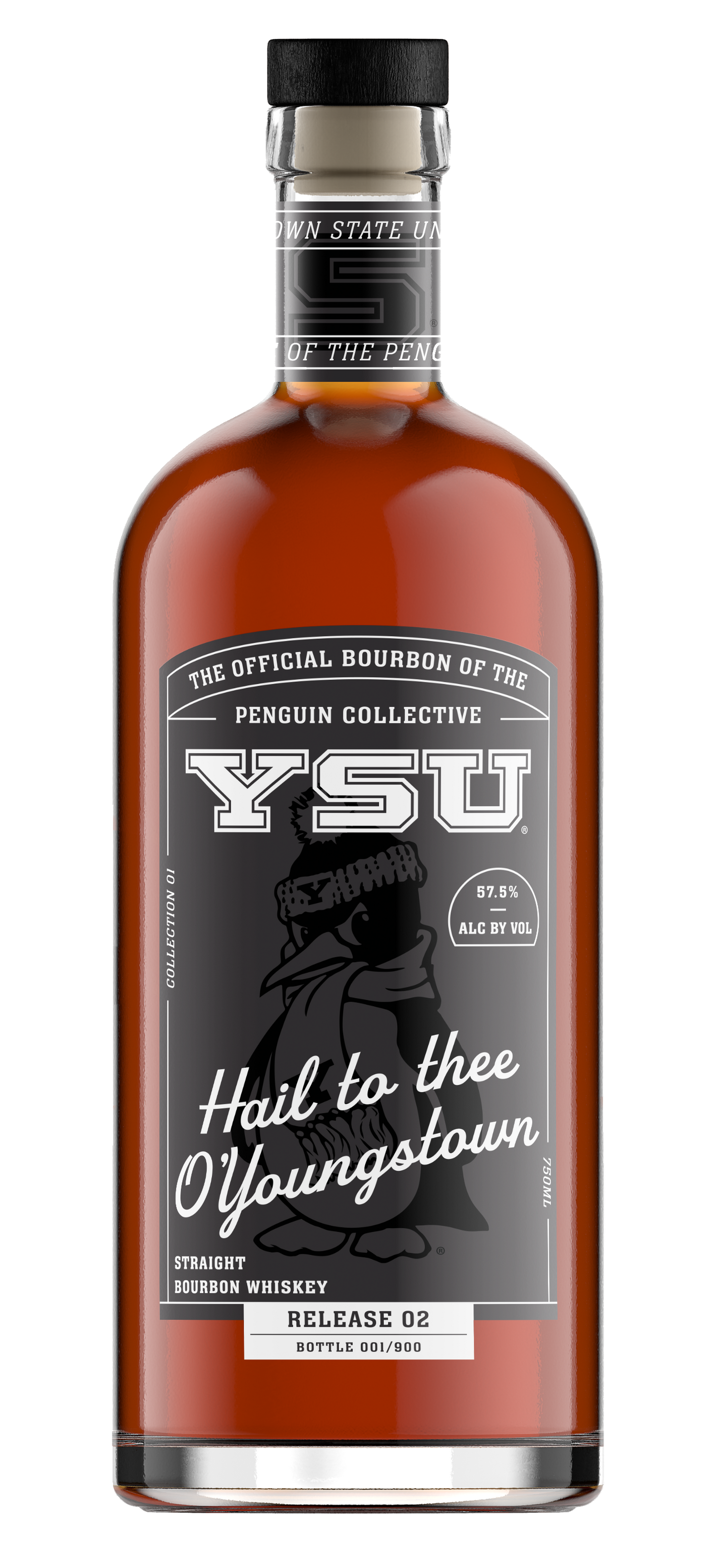 YSU Hail to Thee O'Youngstown
