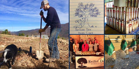 Ten years of Swilled Dog, from the original logo sketch to the team today