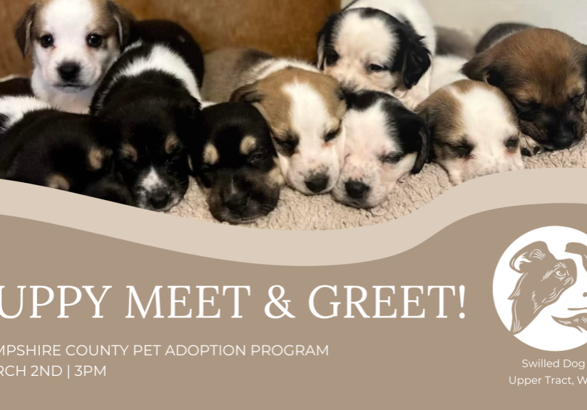Puppy Meet & Greet Event Cover