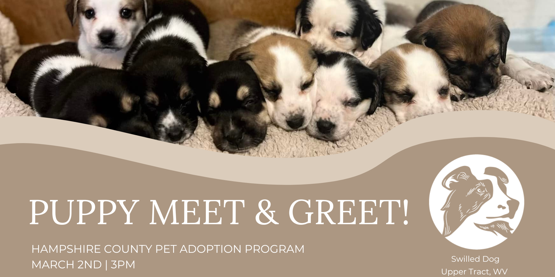 Puppy Meet & Greet Event Cover