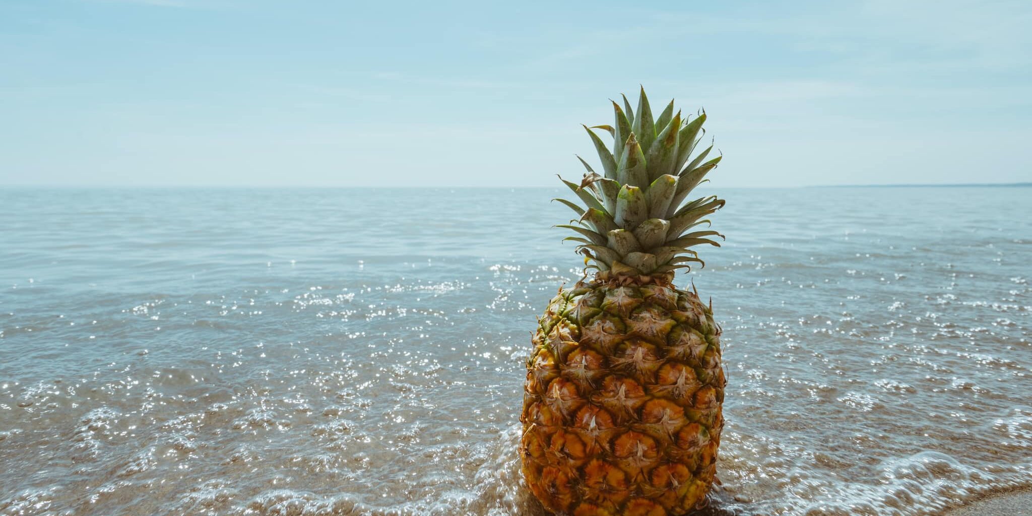 SD_Pineapple