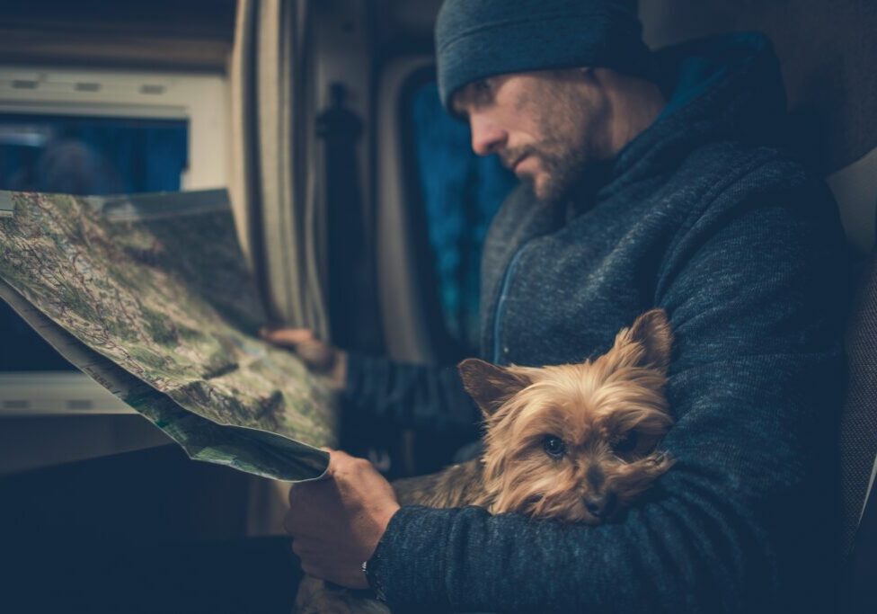 Grab your pet and hit the road in your RV, booking "unlimited stays at unique camping locations" with Harvest Hosts.